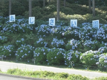 花園あじさい園２