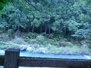 高野山のホタル