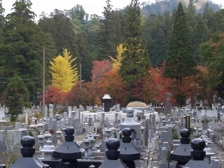 仏舎利宝塔より見た高野山の紅葉