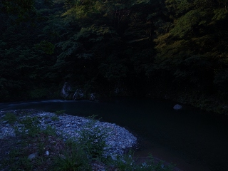 高野山の帰りのホタル