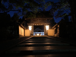 金剛峯寺 蟠龍庭 夜間特別拝観