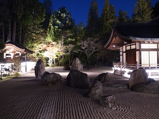 金剛峯寺 蟠龍庭 夜間特別拝観