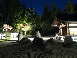 金剛峯寺 蟠龍庭 夜間特別拝観