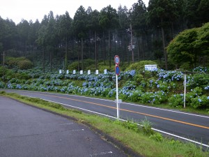 花園あじさい園