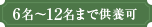 6名～12名まで供養可