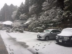 春でもまだまだ大雪の高野山