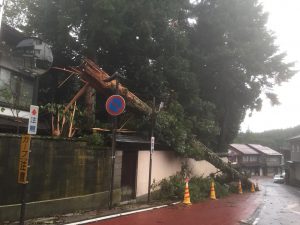 高野山・台風被害