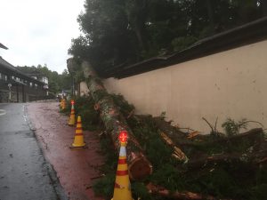 高野山・台風被害