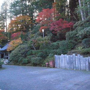 高野山の紅葉2018