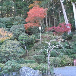 高野山の紅葉2018