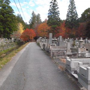 高野山の紅葉2018