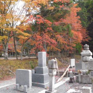 高野山の紅葉2018