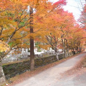 高野山の紅葉2018