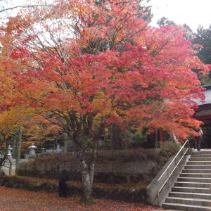 高野山の紅葉2018