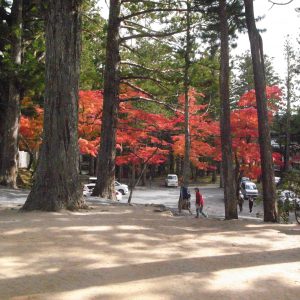 高野山の紅葉2018