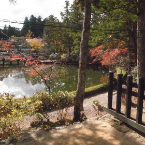 高野山の紅葉2018