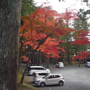 高野山の紅葉2018