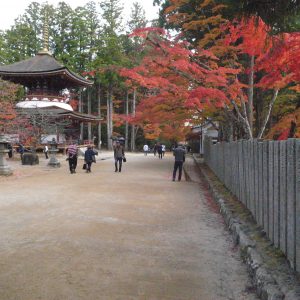 高野山の紅葉2018