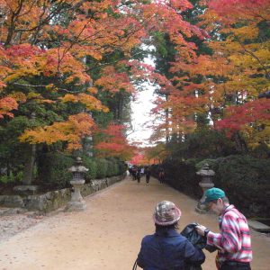 高野山の紅葉2018