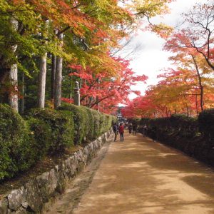 高野山の紅葉2018