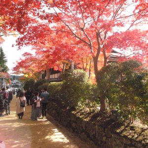 高野山の紅葉2018