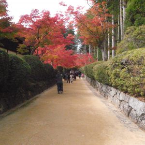 高野山の紅葉2018