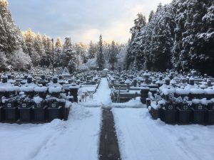 高野山積雪