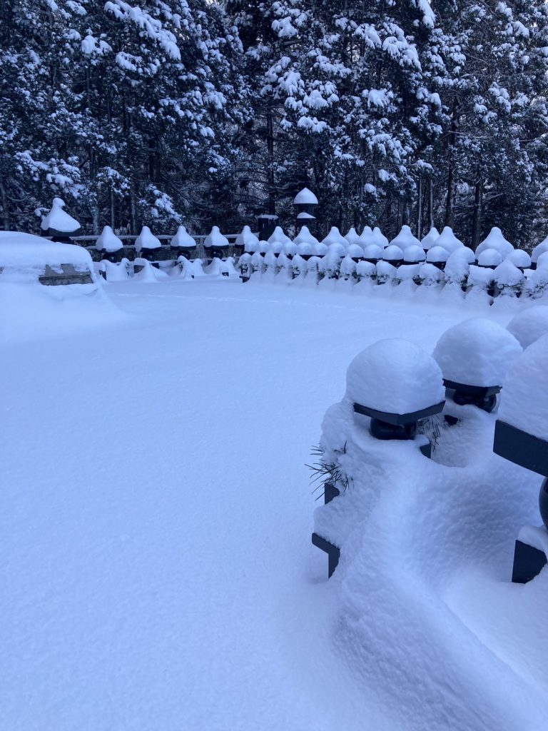 高野山の大雪