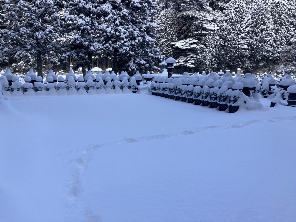 高野山の大雪